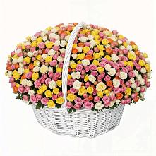 Премиум букет из: Розы в Завитинске