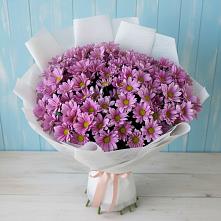 Букет цветов из:  Хризантемы #REPLACE_PRED# Завитинске