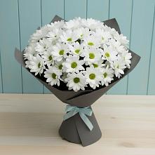 Букет цветов из:  Хризантемы #REPLACE_PRED# Завитинске
