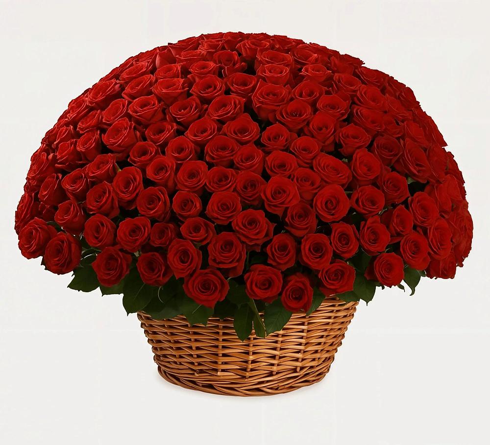 Премиум букет из: Розы в Завитинске