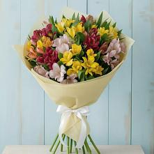 Букет цветов из:  Альстромерии #REPLACE_PRED# Завитинске