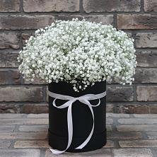 Цветочная композиция из Гипсофила в шляпной коробке в Завитинске