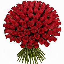 Букет Красные розы Чери Лав в Завитинске